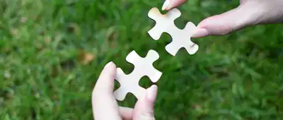 Gli Obiettivi di un Puzzle